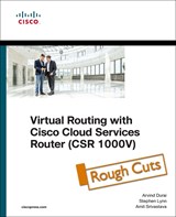 Virtual Routing in the Cloud, Rough Cuts
